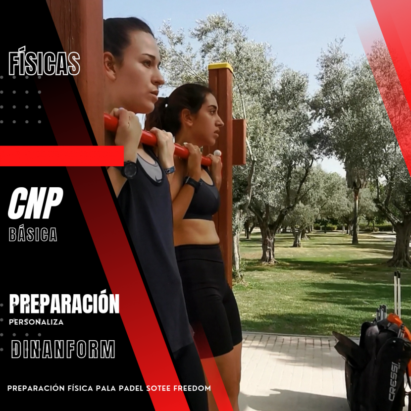 Preparación física pala pádel softee freedom