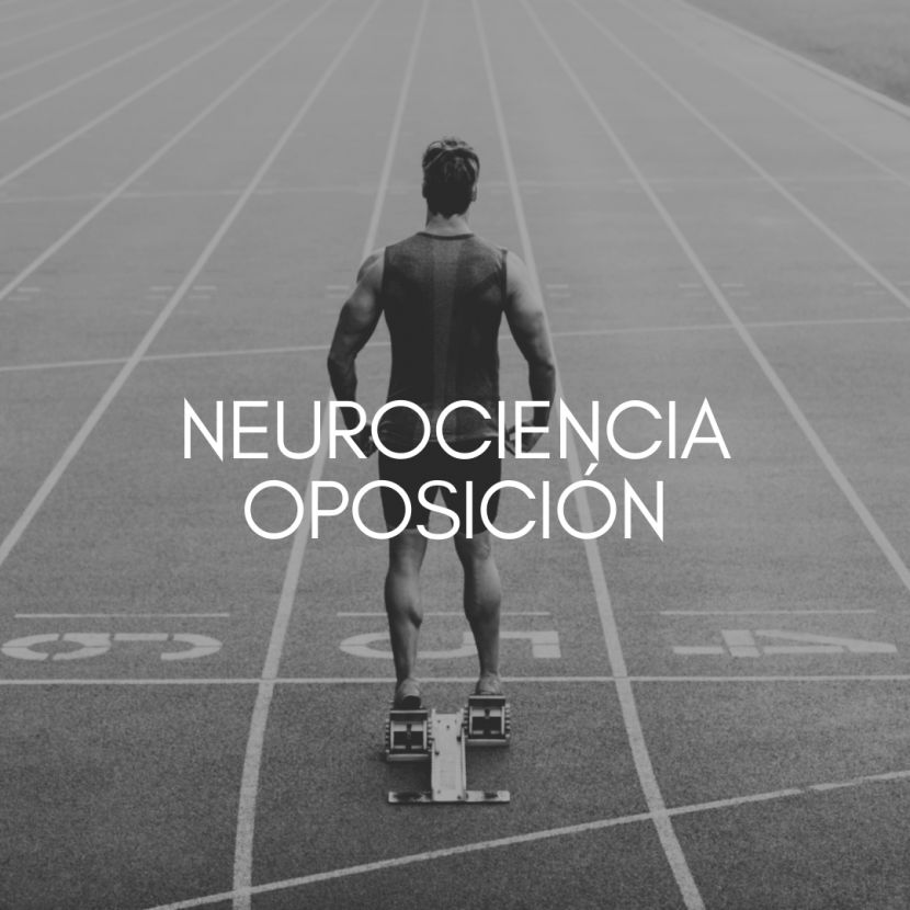 pruebas entrenamiento policia madrid personal