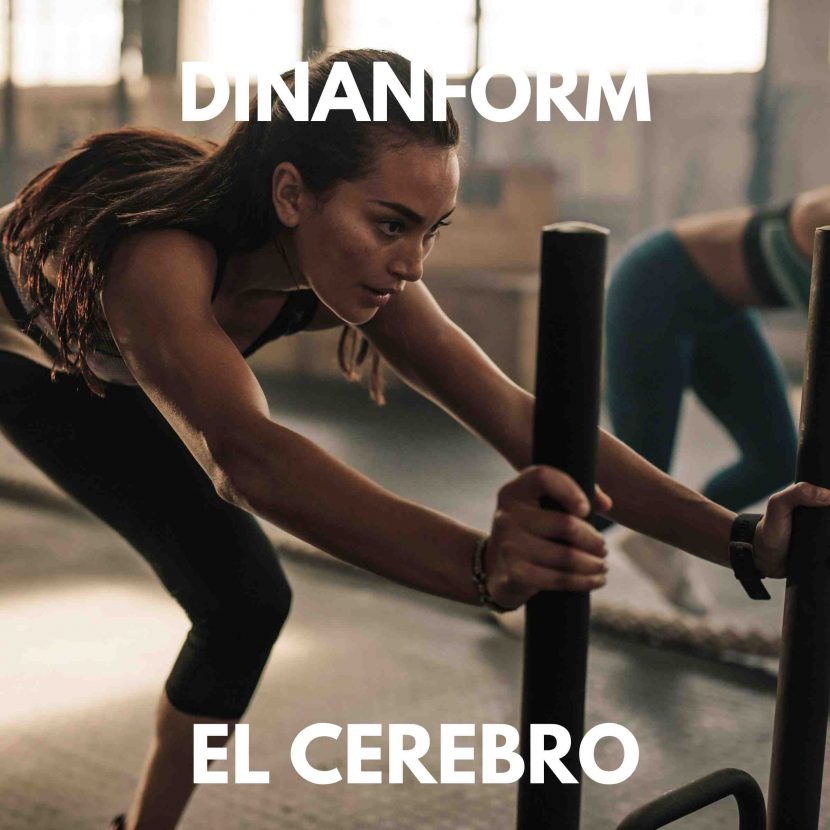 academia fisicas policía nacional madrid