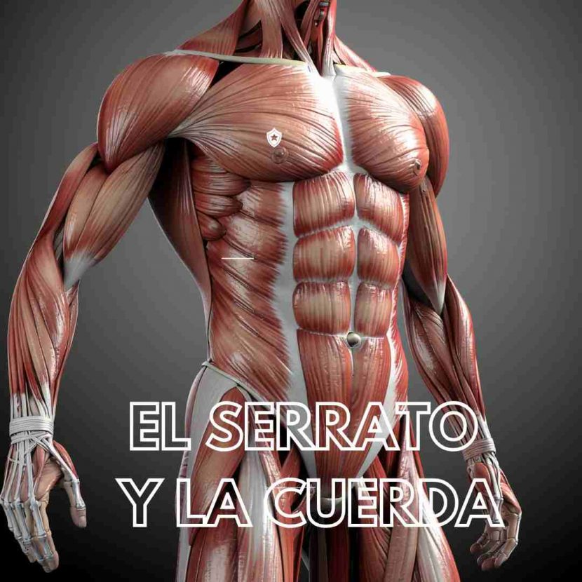 Cuerda del entrenamiento bomberos